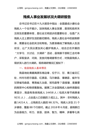 残疾人事业发展状况大调研报告