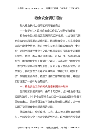 粮食安全调研报告