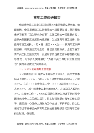 青年工作调研报告