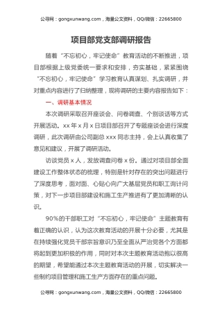 项目部党支部调研报告