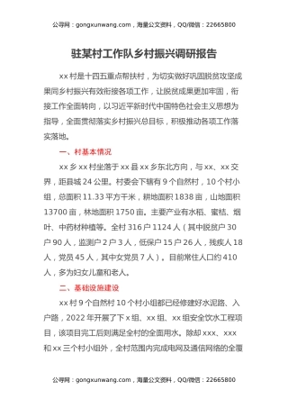 驻某村工作队乡村振兴调研报告