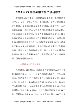 2023年XX自治县粮食生产调研报告