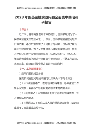 2023年医药领域腐败问题全面集中整治调研报告