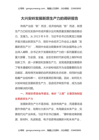 2024年关于因地制宜发展新质生产力的调研报告