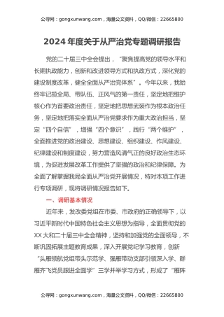 2024年度关于从严治党专题调研报告
