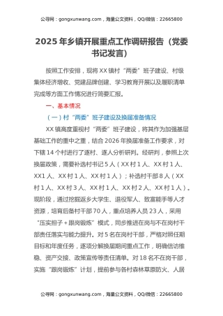 2025年乡镇开展重点工作调研报告(党委书记发言)
