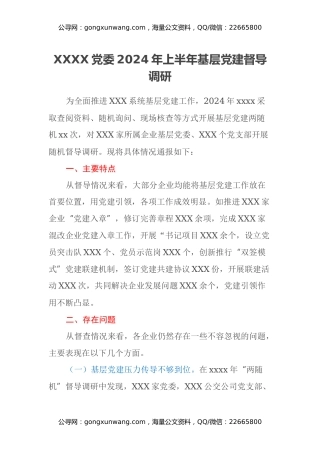 XXXX党委2024年上半年基层党建督导调研