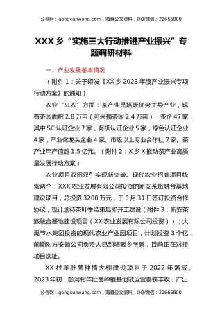 XXX乡“实施三大行动 推进产业振兴”专题调研材料