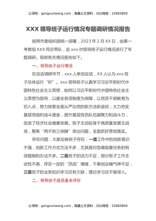 XXX领导班子运行情况专题调研情况报告