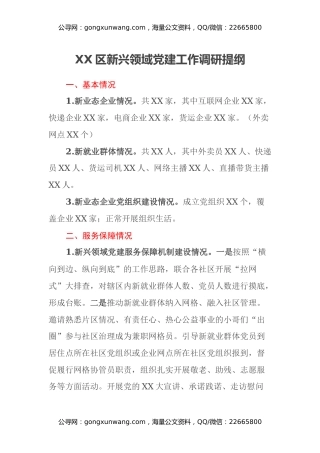XX区新兴领域党建工作调研提纲