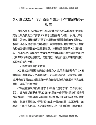 XX单位关于XX镇2025年度河道综合整治工作情况的调研报告