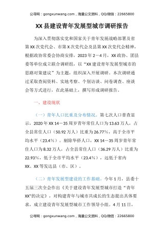 XX县建设青年发展型城市调研报告