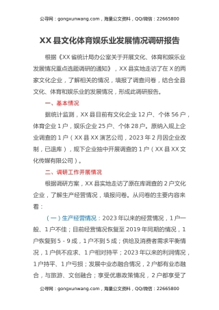 XX县文化体育娱乐业发展情况调研报告