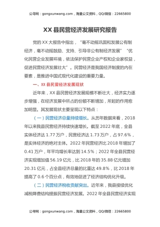 XX县民营经济发展研究报告