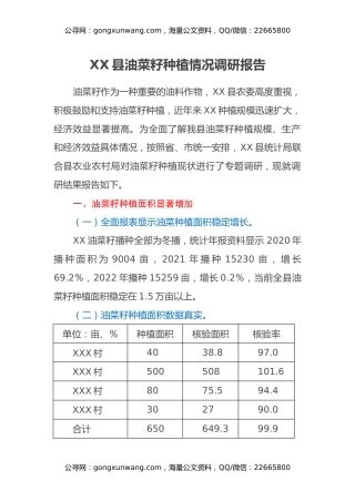 XX县油菜籽种植情况调研报告
