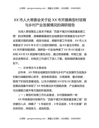 XX市人大常委会关于赴XX市开展典型村培育与乡村产业发展情况的调研报告