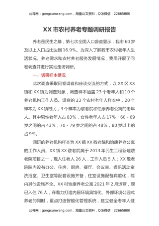 XX市农村养老专题调研报告