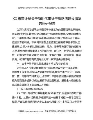 XX市审计局关于新时代审计干部队伍建设情况的调研报告