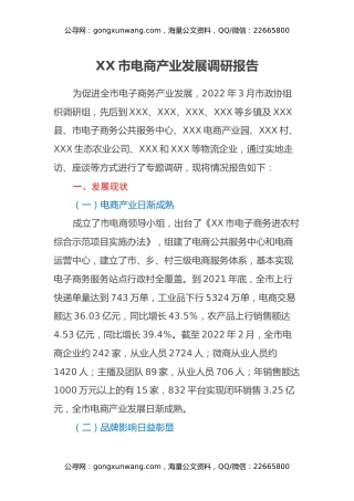 XX市电商产业发展调研报告