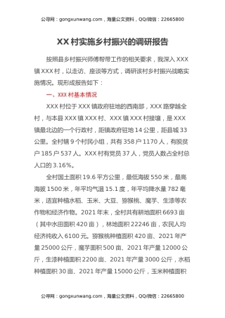 XX村实施乡村振兴的调研报告