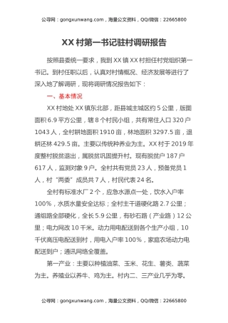 XX村第一书记驻村调研报告