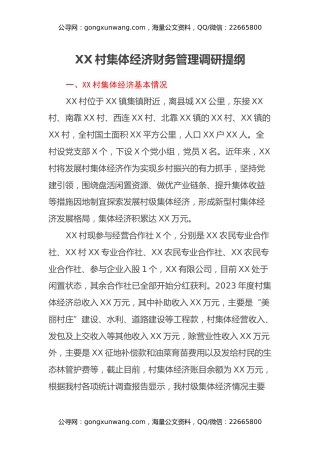 XX村集体经济财务管理调研提纲
