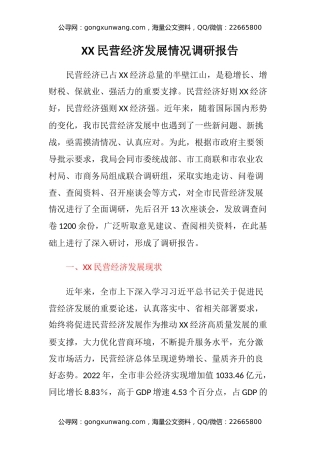 XX民营经济发展情况调研报告