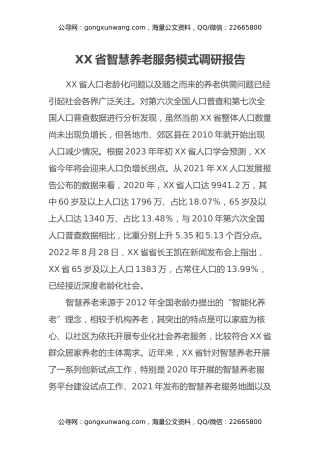 XX省智慧养老服务模式调研报告