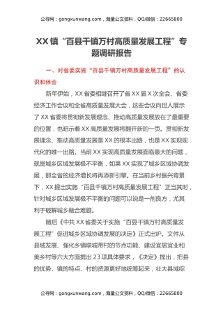 XX镇“百县千镇万村高质量发展工程”专题调研报告