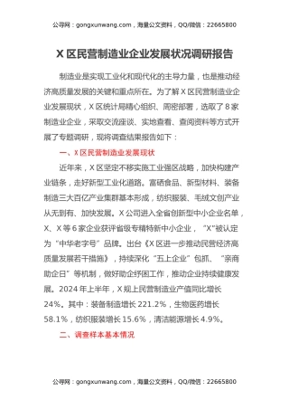 X区民营制造业企业发展状况调研报告