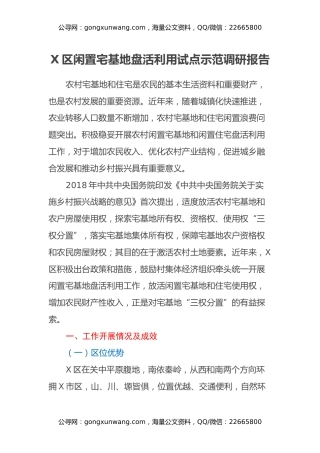 X区闲置宅基地盘活利用试点示范调研报告