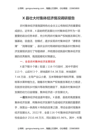 X县壮大村集体经济情况调研报告