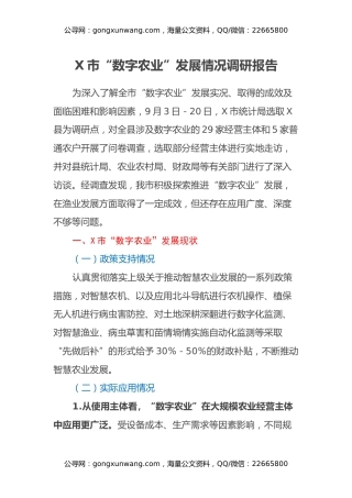 X市“数字农业”发展情况调研报告