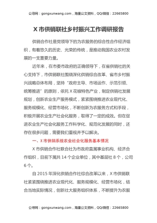 X市供销联社乡村振兴工作调研报告
