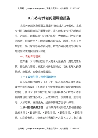 X市农村养老问题调查报告