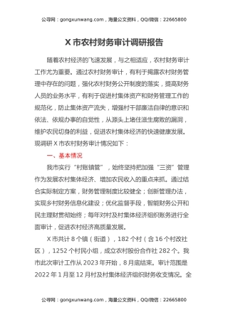 X市农村财务审计调研报告