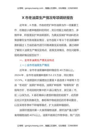 X市冬油菜生产情况专项调研报告