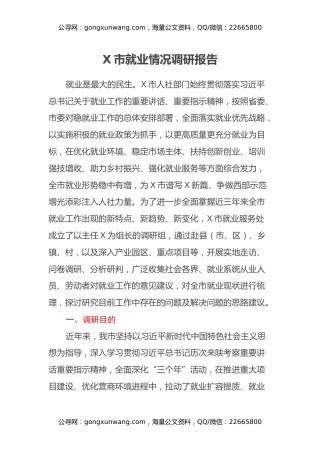 X市就业情况调研报告