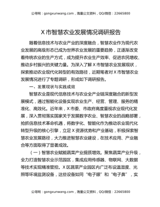 X市智慧农业发展情况调研报告
