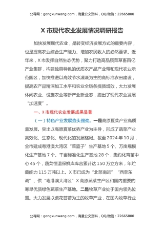X市现代农业发展情况调研报告