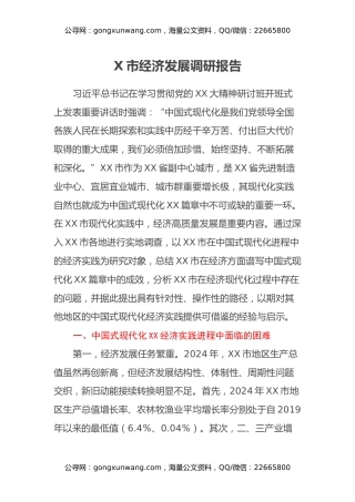 X市经济发展调研报告