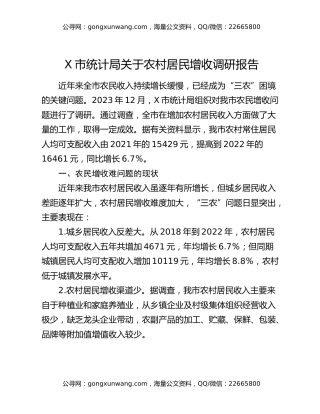 X市统计局关于农村居民增收调研报告
