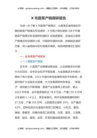 X市蔬菜产销调研报告