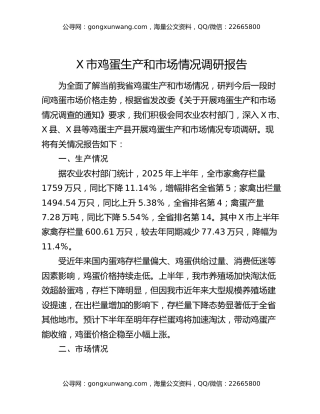 X市鸡蛋生产和市场情况调研报告