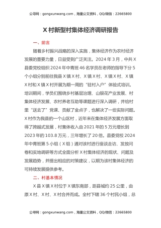 X村新型村集体经济调研报告