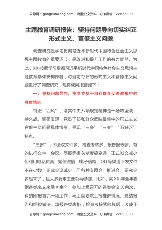 主题教育调研报告：坚持问题导向 切实纠正形式主义、官僚主义问题