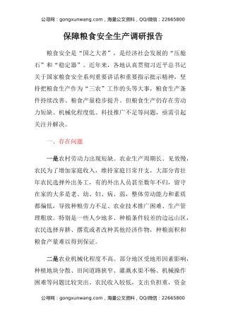 保障粮食安全生产调研报告
