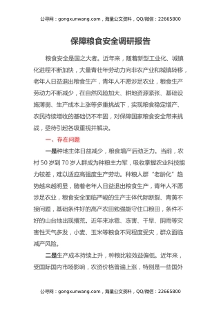 保障粮食安全调研报告