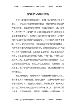 党委书记调研报告