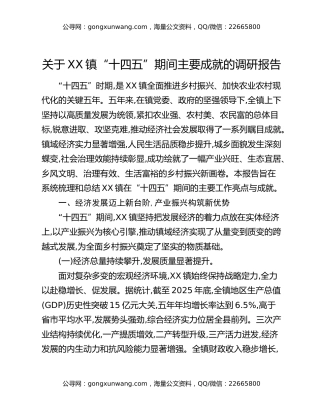 关于XX镇“十四五”期间主要成就的调研报告